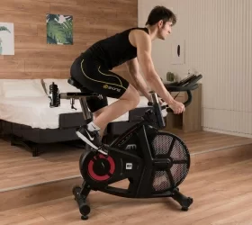 BH FITNESS AIRMAG Аэробайк