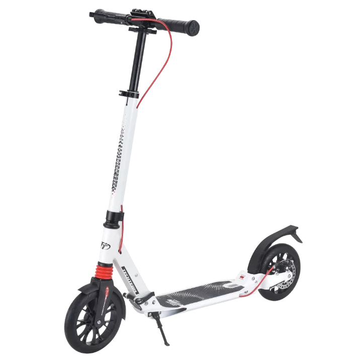 Реальное фото Самокат TechTeam City scooter Disk Brake (2021) white от магазина СпортСЕ