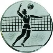 Реальное фото Вставка для медалей D1 A6 25 мм волейбол от магазина СпортСЕ