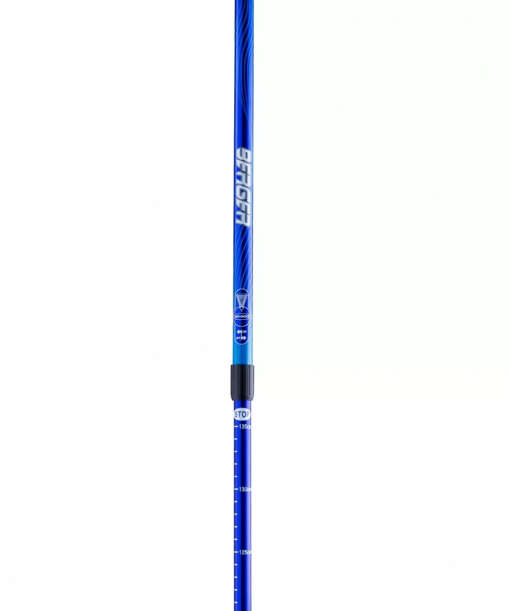Реальное фото Палки для скандинавской ходьбы Berger Rainbow, 77-135 см, 2-секционные, синий/голубой УТ-00010968 от магазина СпортСЕ