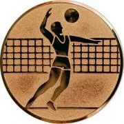 Реальное фото Вставка для медалей D1 A6 25 мм волейбол от магазина СпортСЕ