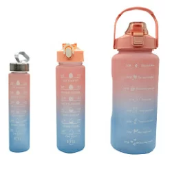 Набор из 3-х спортивных бутылок pink/blue WB03-MATR