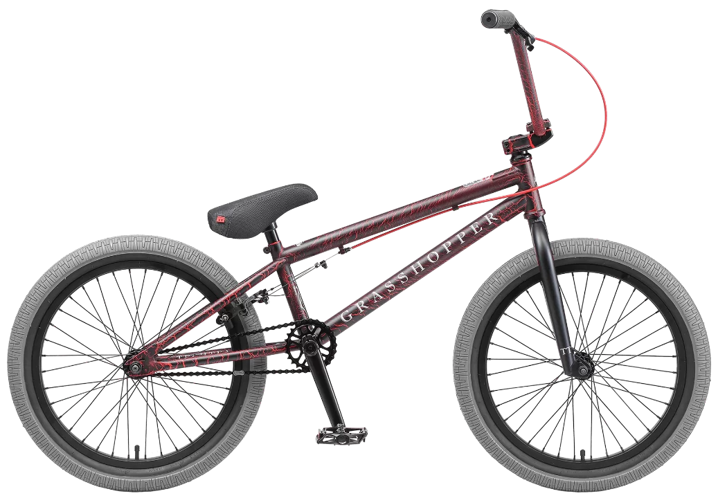 Реальное фото Велосипед BMX TechTeam Grasshoper 20" (2022) красно-серый от магазина СпортСЕ