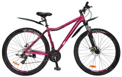 Велосипед 29" Nameless J9600DW,  бордовый/розовый, 19" (2024)
